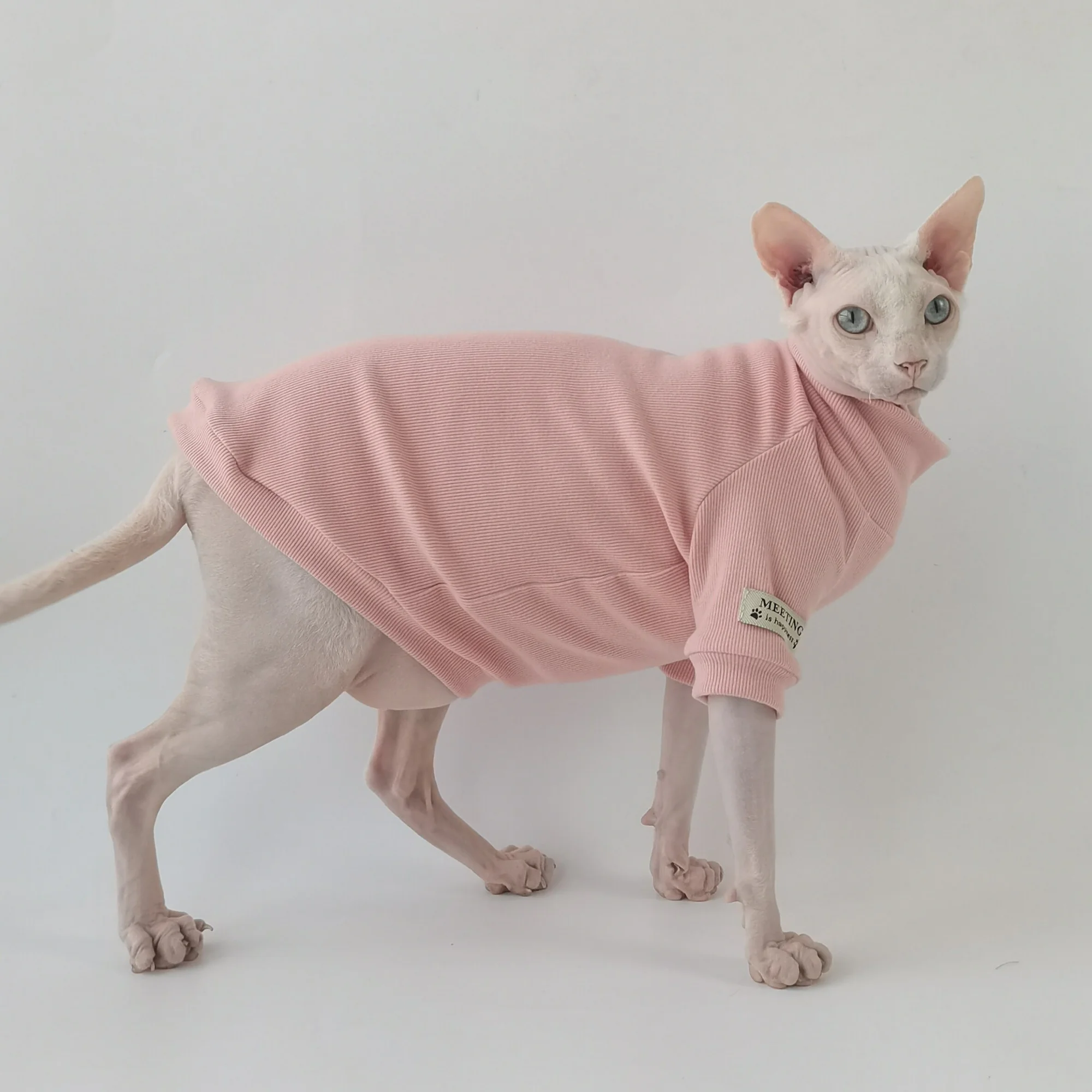 Camiseta de algodón caqui para gatos Sphynx y Devon Rex - manga larga - imagen 2