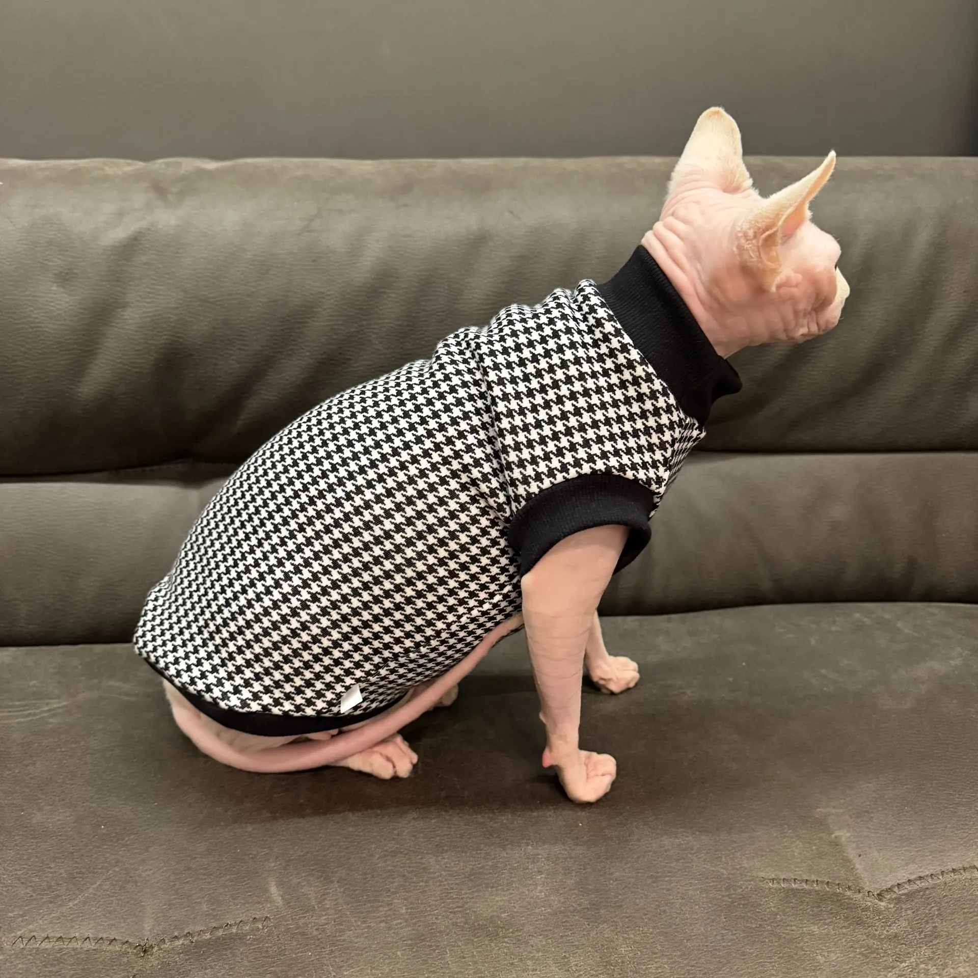 Abrigo de lana a cuadros negro para gato esfinge en invierno, sudadera cálida de otoño de manga corta suave para gatitos, ropa para Devon Rex - imagen 3