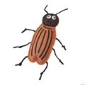 Cockroach model