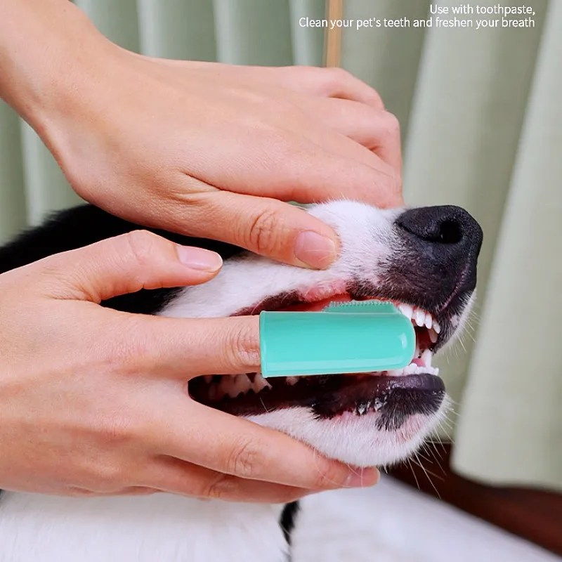 Cepillo de dientes para perros, 2 uds., cepillo de dientes para el cuidado bucal, limpieza de dientes de perros, juego de cepillos de dientes para gatos, cepillos de dientes para perros, juego de 2 uds, productos para mascotas - imagen 4
