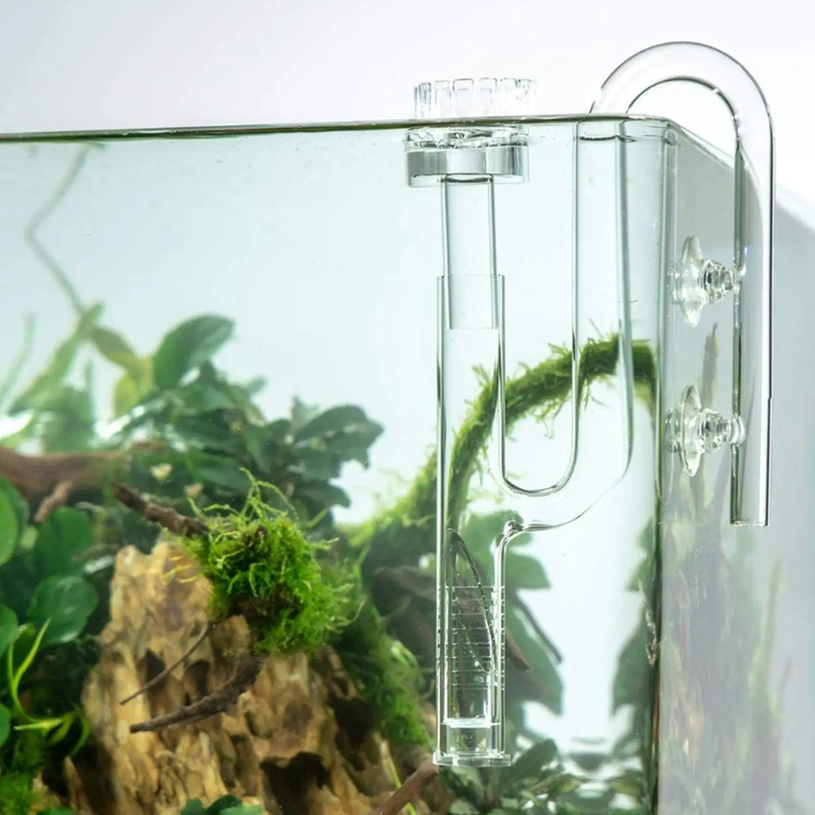 Clear Aquarium Lily Pipe Inflow/Outflow with Suction Cup Accessories Supplies Planted Connector Filter for Planted Tank Fish