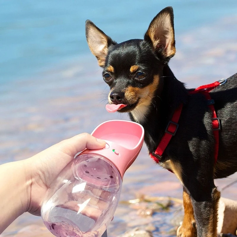 Botella de Agua para Perros - imagen 4