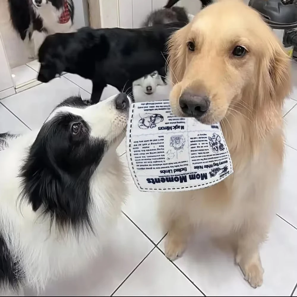 Juguete para masticar con sonido de perro a prueba de lágrimas, naipes de periódico con chirrido simulado, K Q J, resistente a los dientes, Corgi, cachorro de peluche, juguete interactivo para mascotas - imagen 5