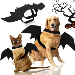 Disfraz de murciélago para perros y gatos con alas - Halloween