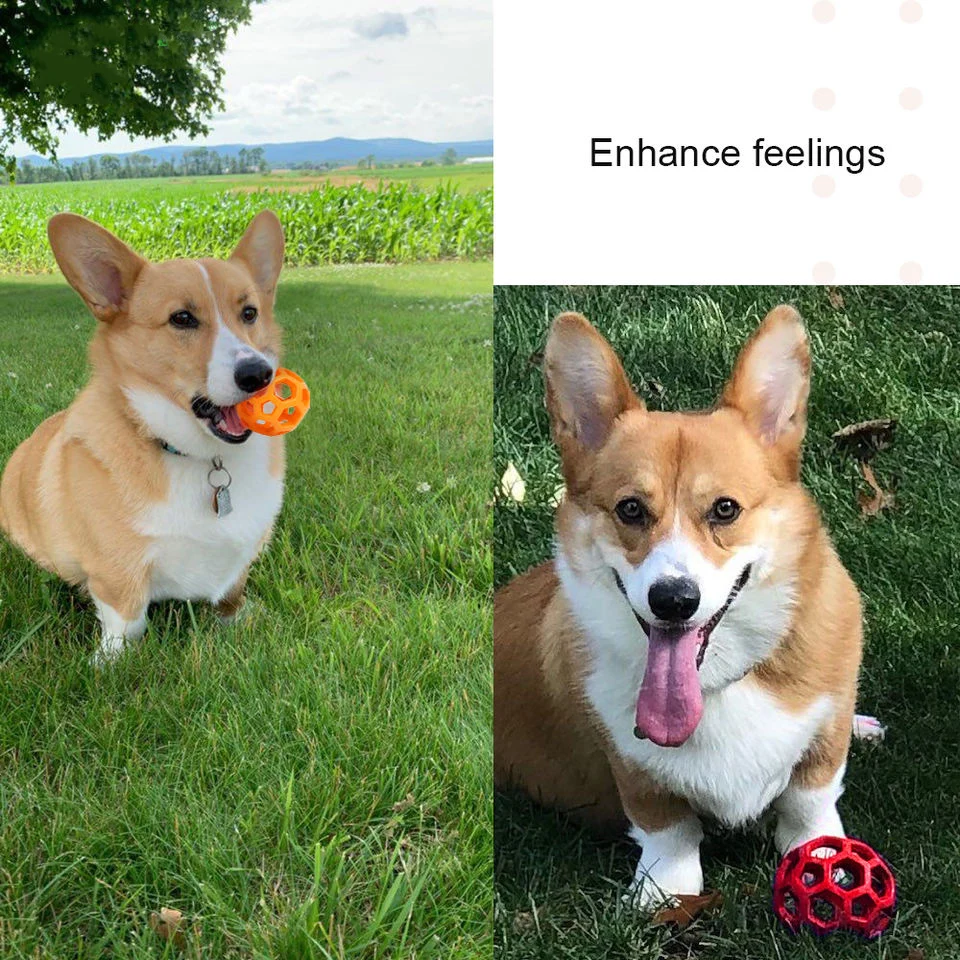 Juguete para masticar de goma Natural para perros y gatos, pelota de seguridad geométrica con campana, pelota interactiva para mascotas, entrenamiento para cachorros, bolas para limpiar los dientes - imagen 3