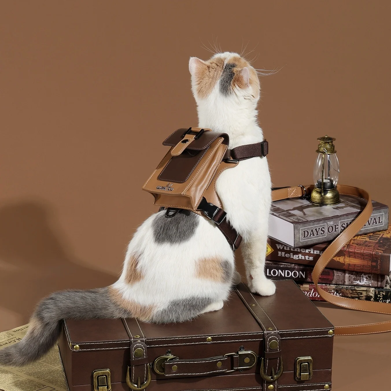 Arnés de cuero para mascotas con correa para perros pequeños a medianos Arnés de chaleco para perros suave y liviano con mochila Arnés ajustable para perros