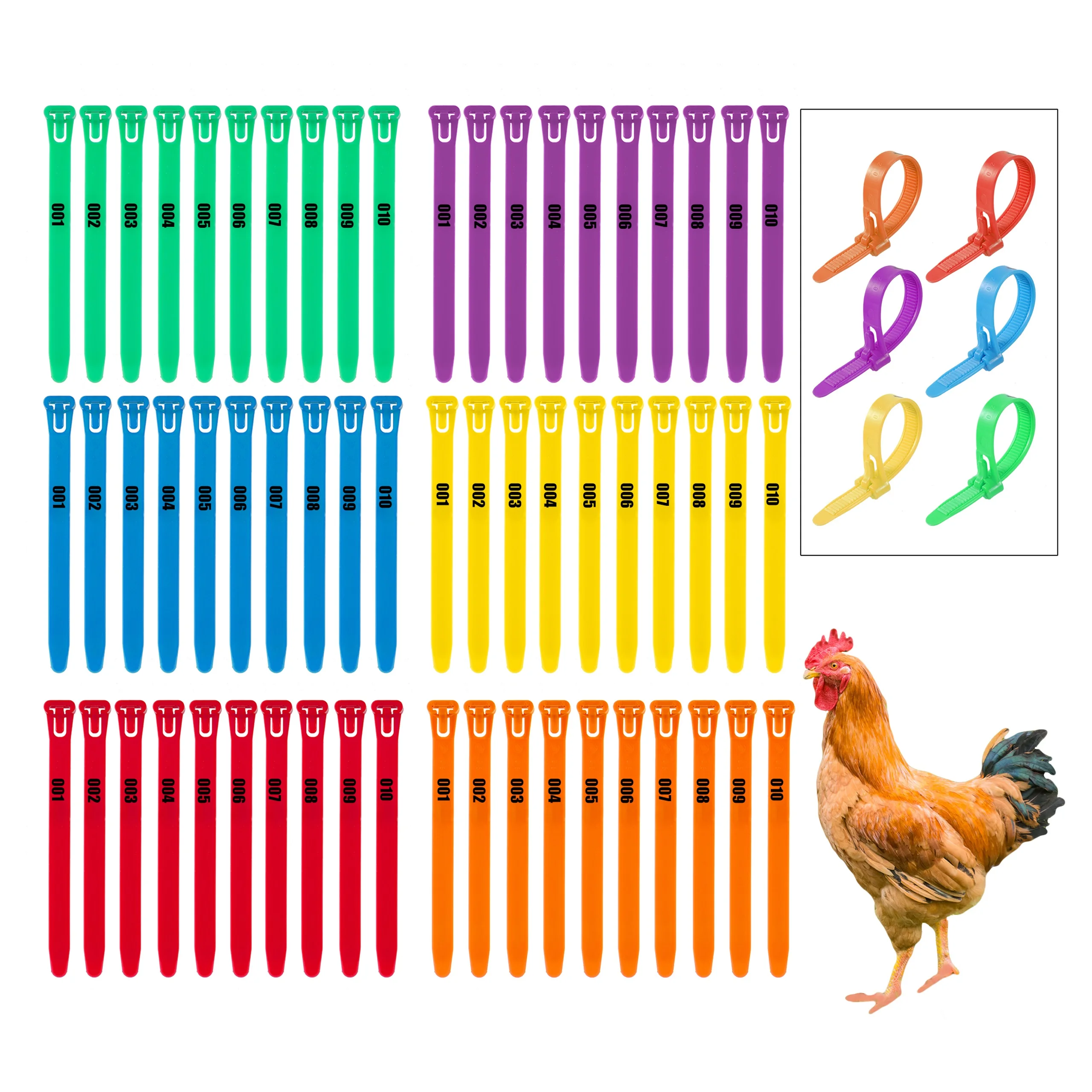 Anillo de pie de pollo ajustable de 8-28mm, n. ° 001 ~ 050, Anillo de pie de pato de ganso de pavo, anticaída reutilizable, Anillo de pie de transporte de aves de corral, 50 piezas