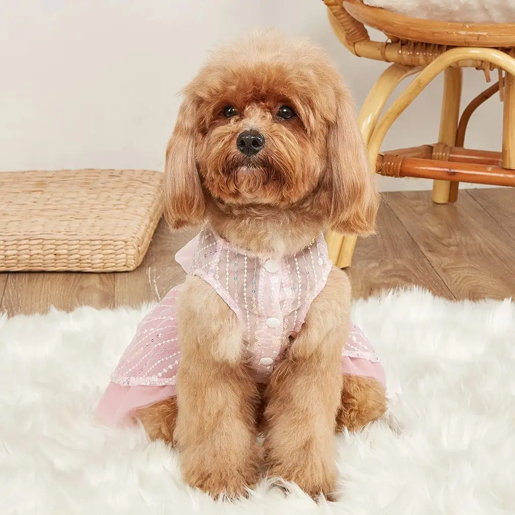 Vestido para perros pequeños, disfraz de mariposa con lentejuelas, vestidos de lujo para cachorros con lazo, hermoso perro de boda, ropa para gatos A - imagen 2