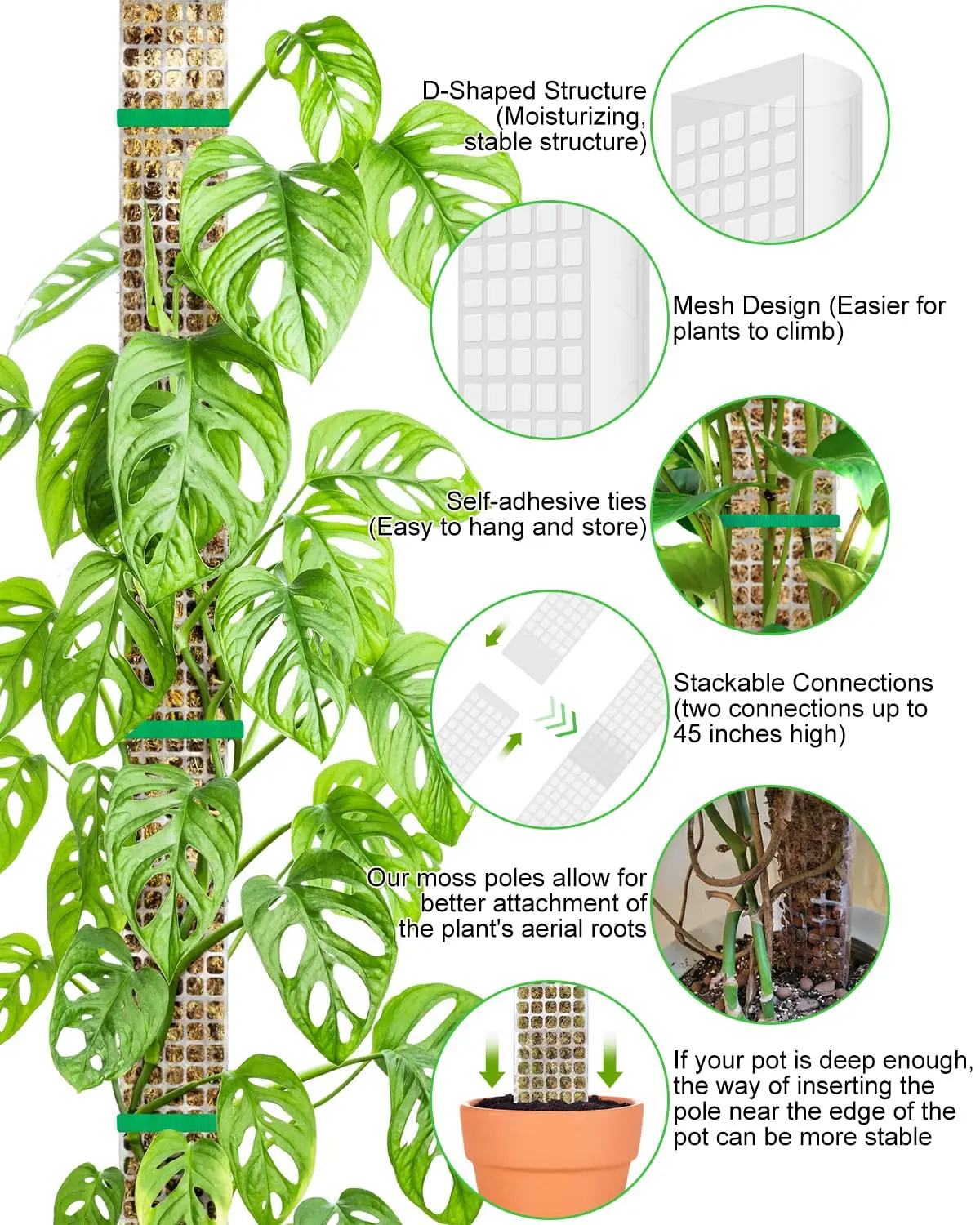Poste de musgo para plantas, sujeto de jardín, escaladores de plantas de flores, accesorios para bonsái, macetas, tutores, para maceteros, soporte para crecimiento de plantas - imagen 5