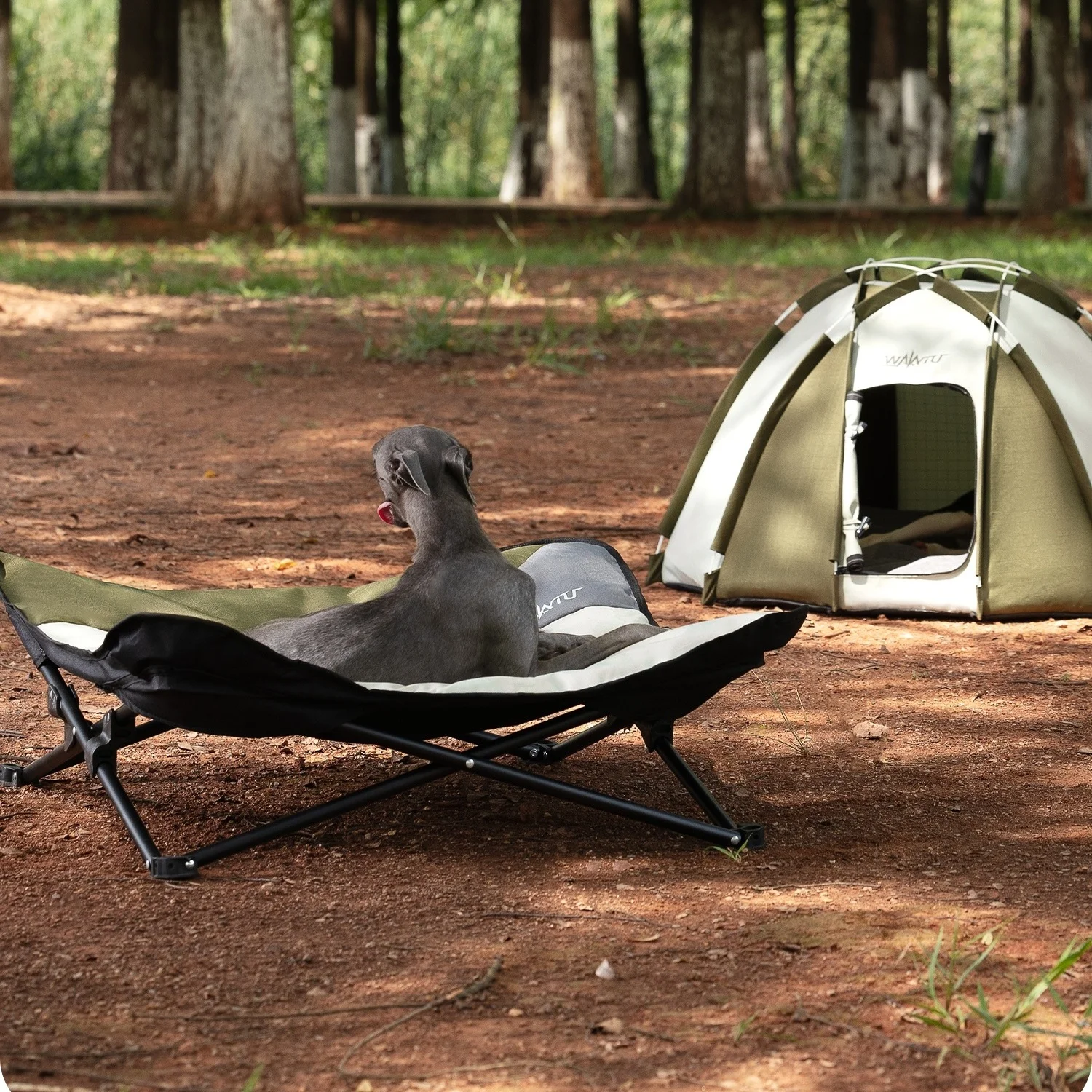 Cama plegable para mascotas, cama portátil para perros al aire libre, tumbona elevada para mascotas, cama elevada impermeable para perros, hamaca para mascotas, cama para acampar en el patio trasero