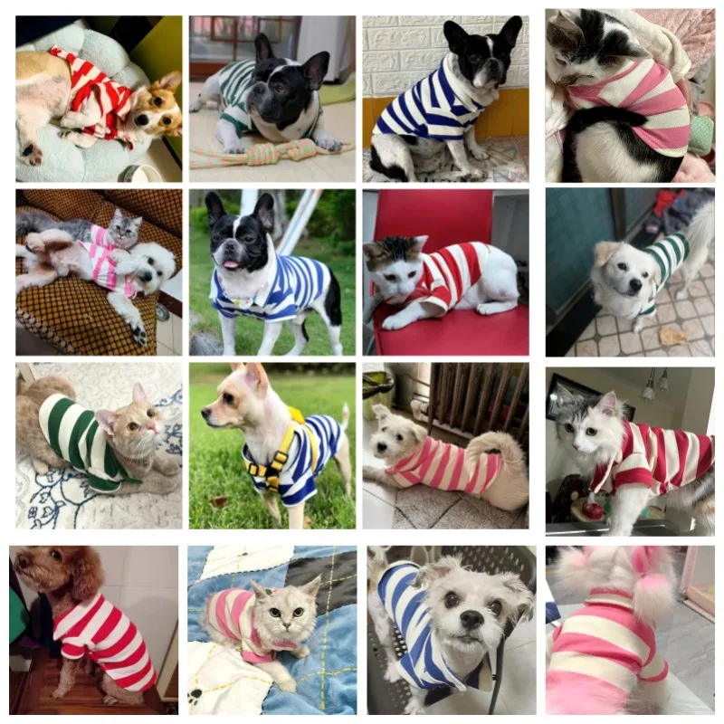 Polo para perro, sudadera a rayas de verano, ropa fresca para perros, Yorkie, Chihuahua, ropa para cachorros, chaleco para perros pequeños y medianos, disfraces - imagen 2