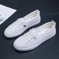 Botines protectores para perro – Calzado de invierno antideslizante