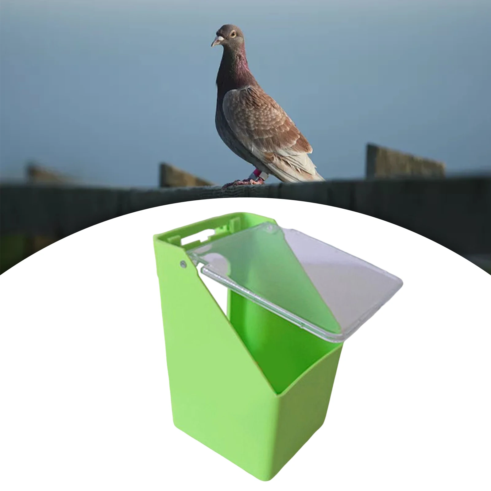 Comedero creativo para comida de pájaros, caja colgante para comedero de palomas con cubierta, contenedor de agua para loros y palomas, suministros de alimentación para pájaros - imagen 4