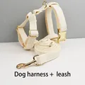 Harness leash