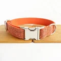 Orange-Collar