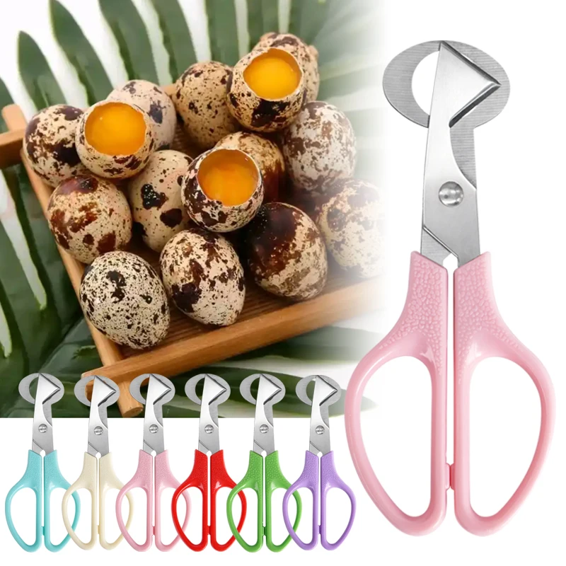 Cortador de huevos de codorniz de acero inoxidable, tijeras para palomas, pájaros, abridor de huevos de codorniz, herramienta cortadora de cocina, 5 uds.