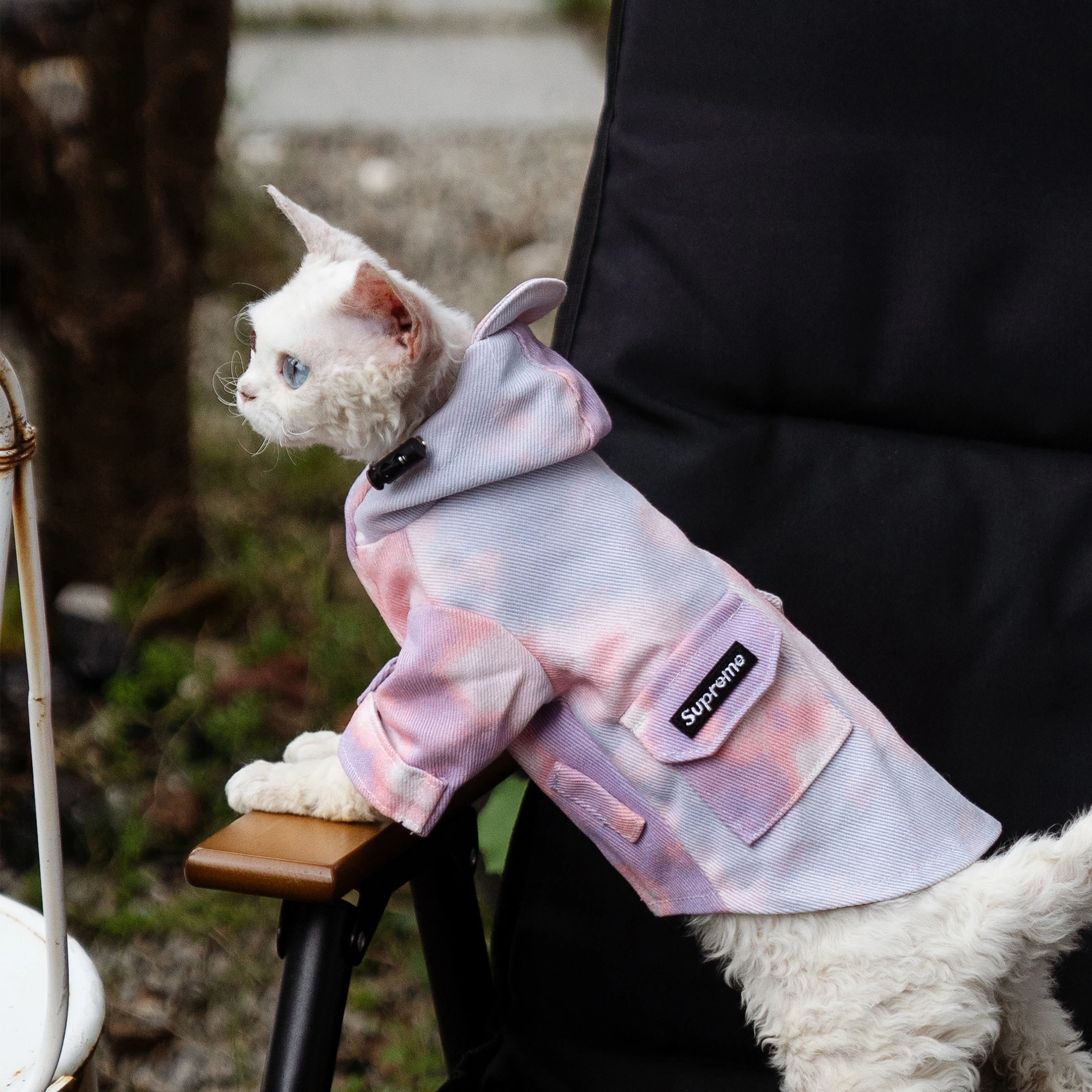 Chaqueta de lujo para exteriores para gatos, ropa impermeable a la moda para gatos Sphynx, abrigo grueso con capucha a prueba de viento para suministros para gatos Devon Rex - imagen 3