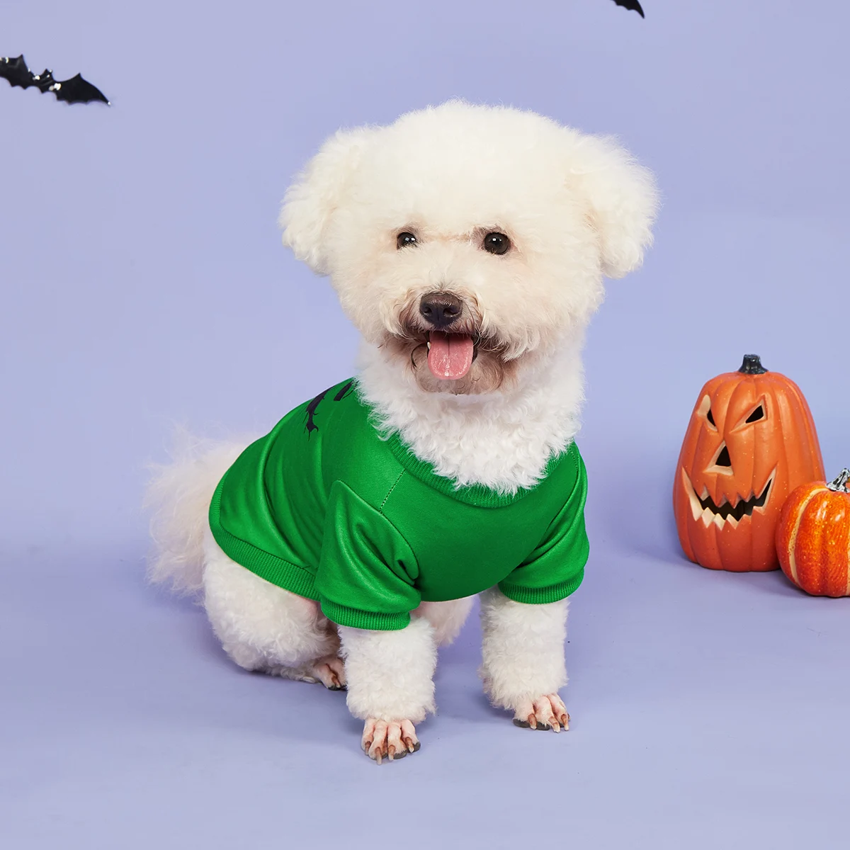 Ropa de Halloween para perros, camisas con capucha para perros, estampado de insectos, expresión aterradora, Sudaderas con cuello alto para mascotas - imagen 3