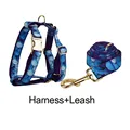 Harness   leash