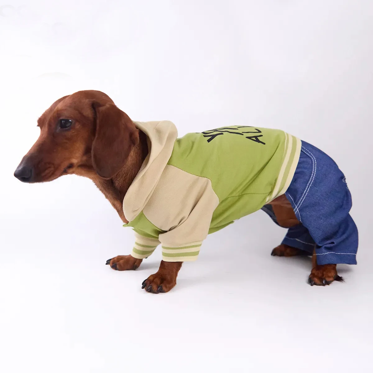 Pantalón vaquero para perros salchicha – uniforme baseball primavera