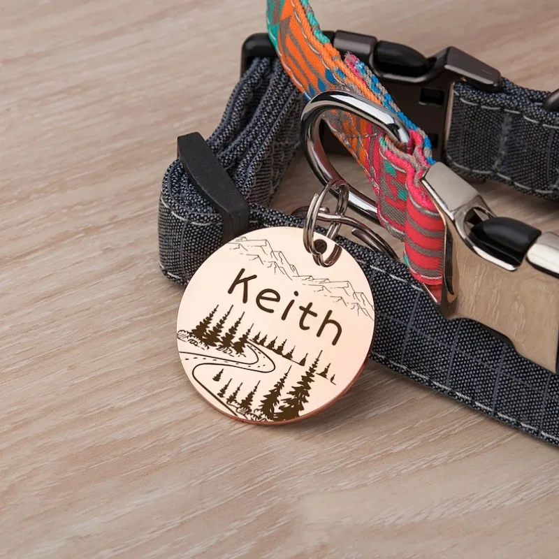 Collar personalizado con nombre de perro y gato de montaña, accesorios con etiqueta de identificación grabada, cadena, suministros para productos para perros - imagen 3