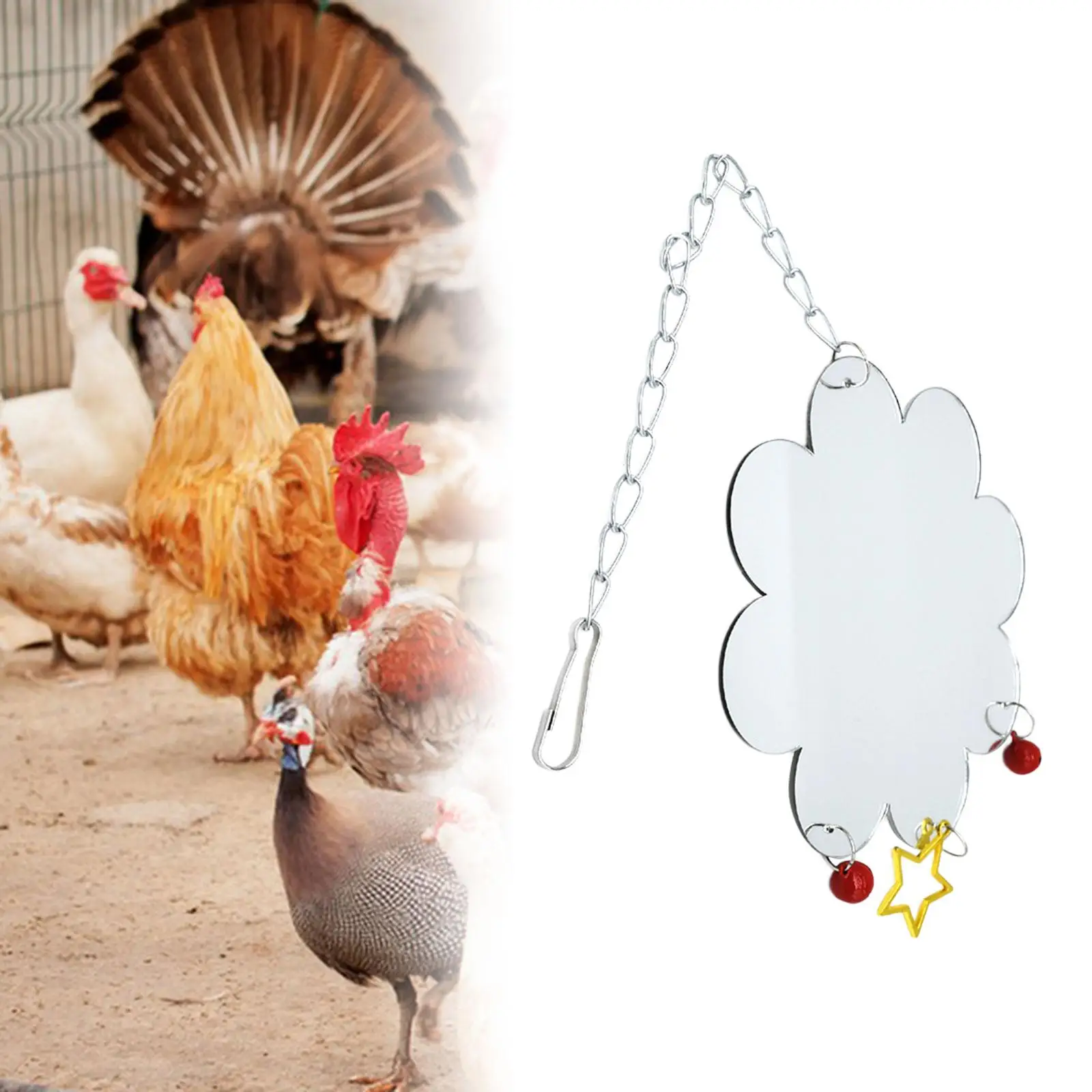 Juguetes de espejo de pollo colgante de acrílico con campanas, accesorios de jaula de pájaros, juguete interactivo de pollo para gallinero, suministros para aves - imagen 2