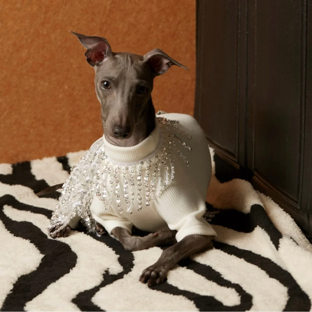 Traje blanco una pieza con flecos para perra Galgo Italiano primavera