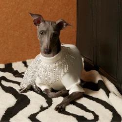 Traje blanco una pieza con flecos para perra Galgo Italiano primavera