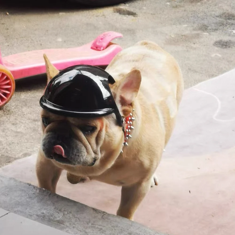 Casco locomotora para mascotas, Bulldog Francés, senderismo, ciclismo, accesorios para perros guapos para perros pequeños y medianos, sombrero para cachorros y mascotas - imagen 5