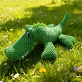 Green Crocodile