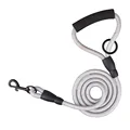 Gray Leash