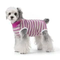 magenta stripes