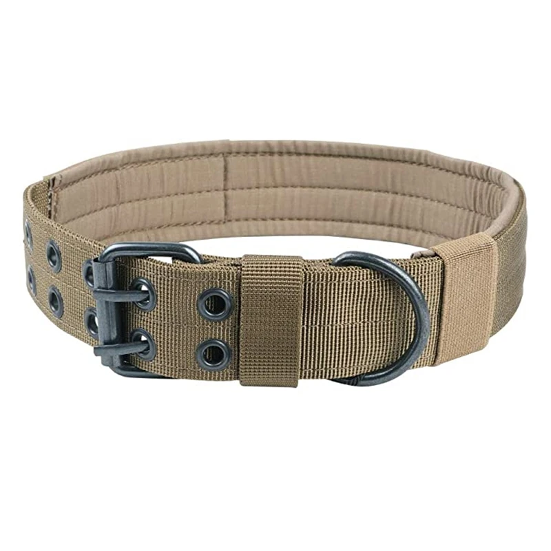Brown Dog collar