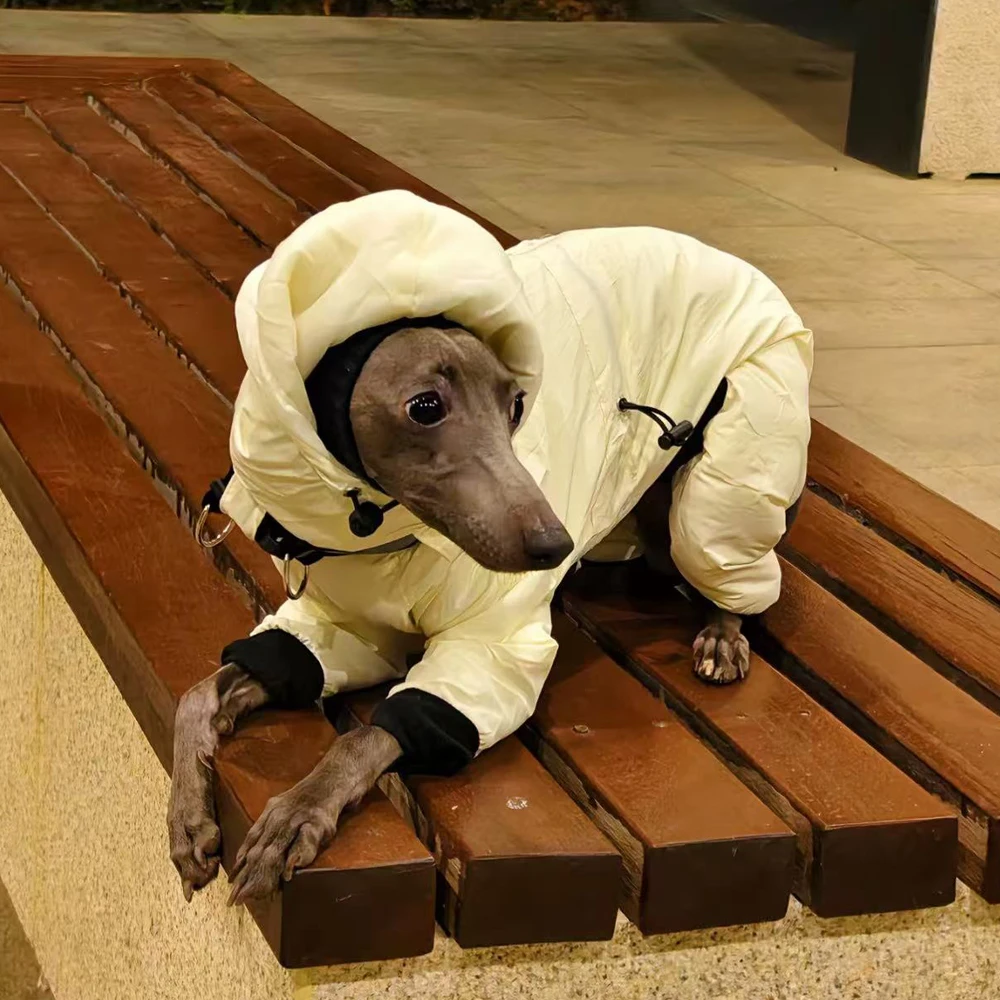 Sudadera de invierno para perros: Galgo Italiano y Whippet mediano - imagen 4