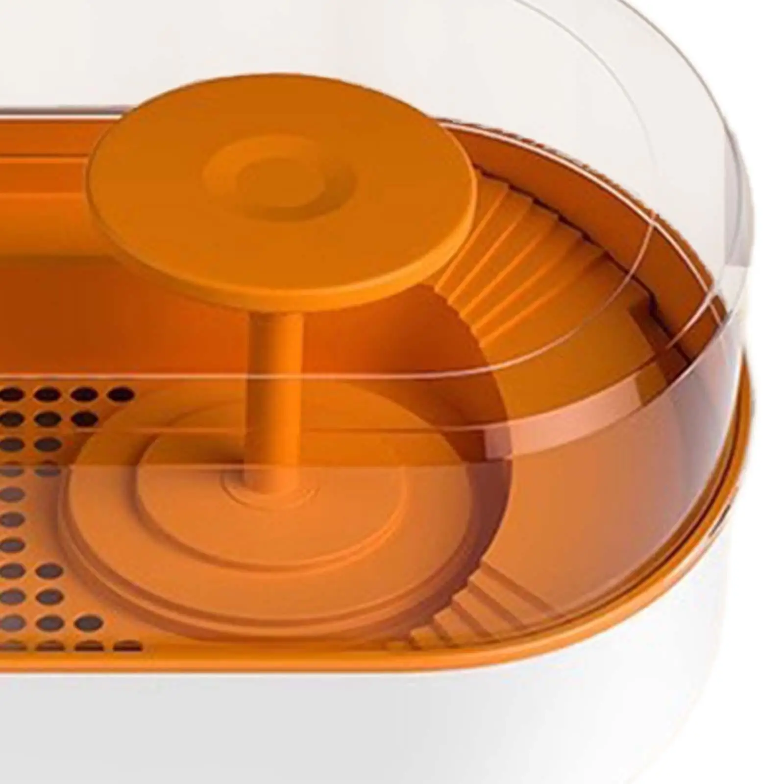 Reptile Habitats Feeding Box Tortoises Resting Decor Small Amphibious Creatures with Platform Turtle Breeding Tank Reptile Tank