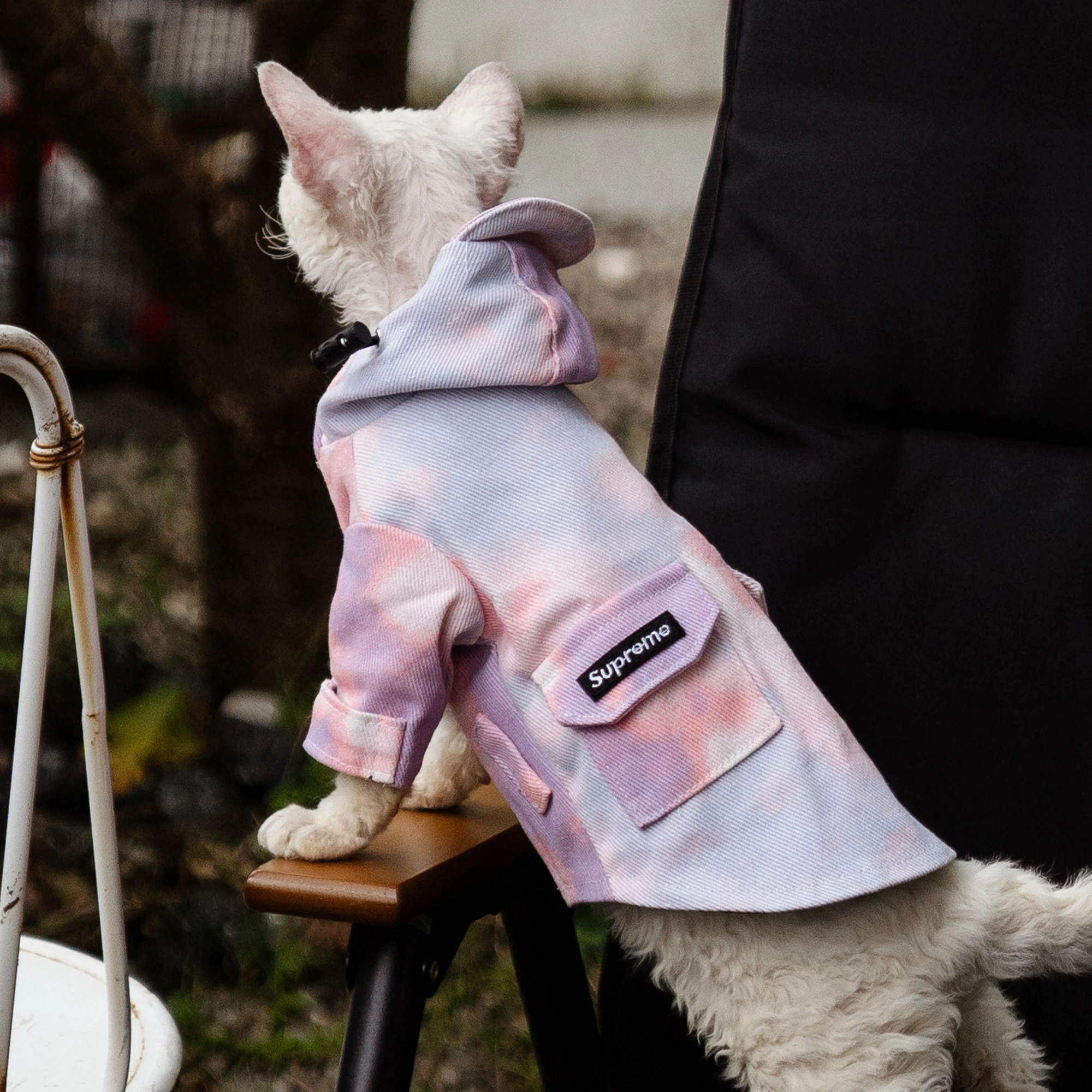 Chaqueta de lujo para exteriores para gatos, ropa impermeable a la moda para gatos Sphynx, abrigo grueso con capucha a prueba de viento para suministros para gatos Devon Rex - imagen 4