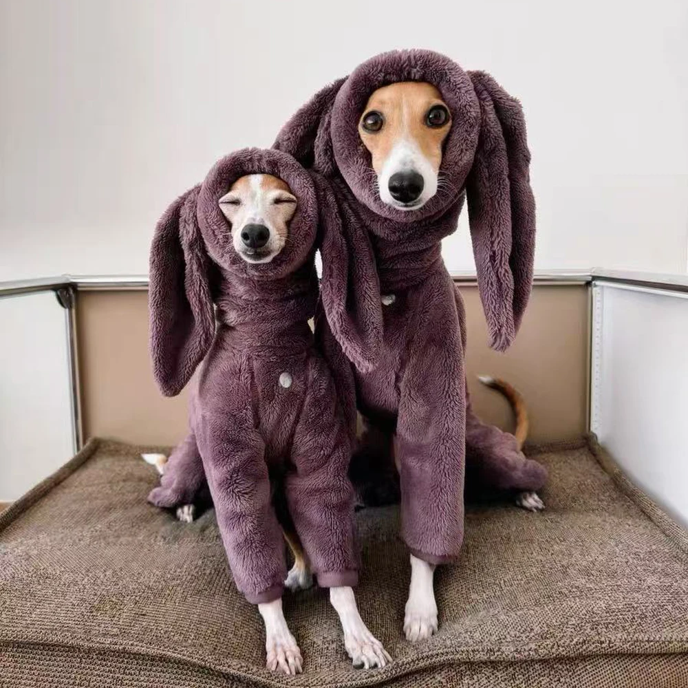 Abrigo cálido de invierno con Orejas de conejo para galgo italiano pequeño, chaqueta de cuello alto a prueba de viento para Whippet en clima frío