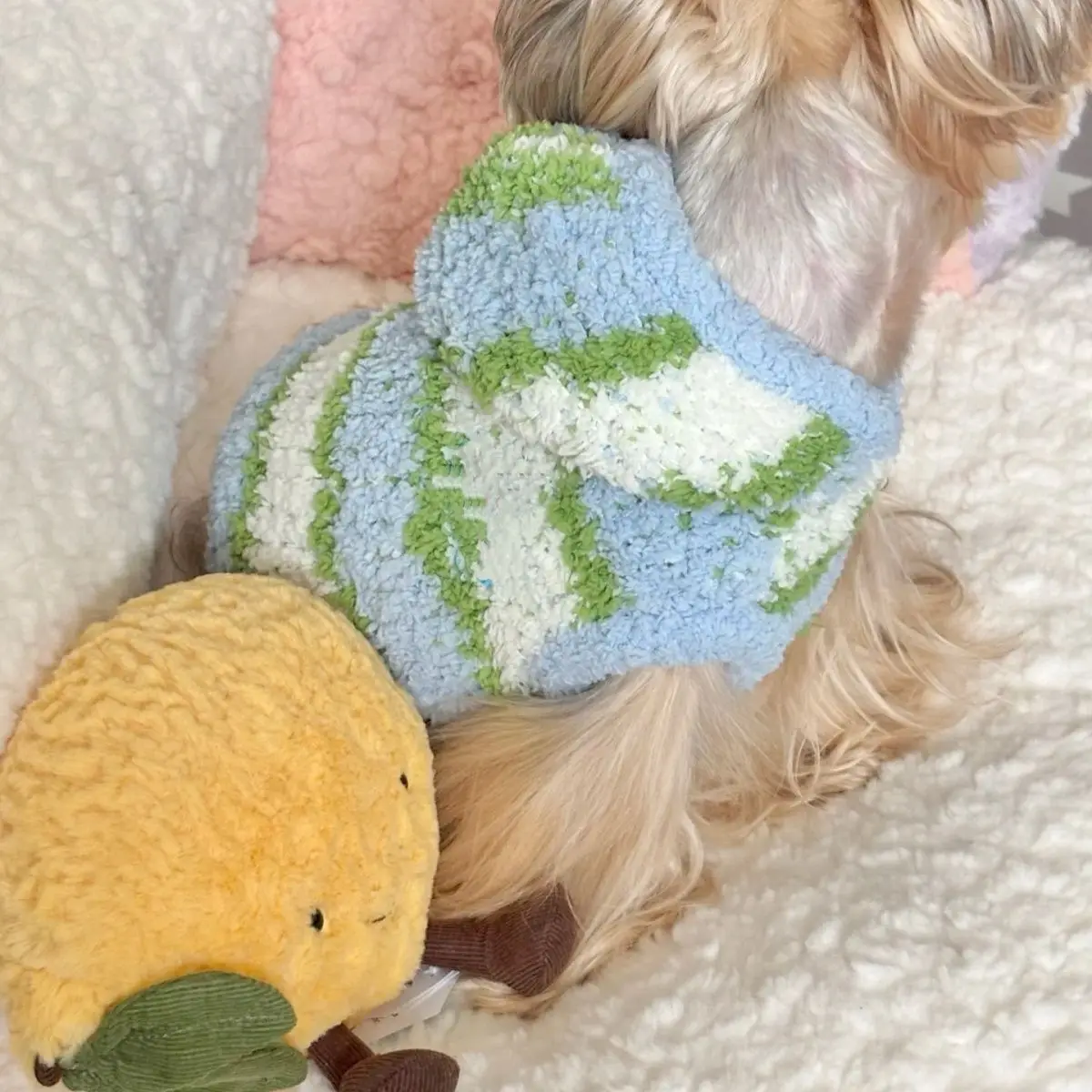 Sudadera con capucha a rayas para mascotas, suéter para gatos, chaleco de invierno, oso de peluche, Yorkshire, ropa para perros pequeños para mascotas, ropa cálida para cachorros - imagen 4