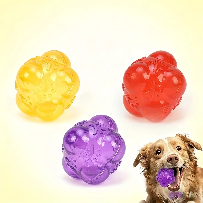 Perro jugando con juguete de goma