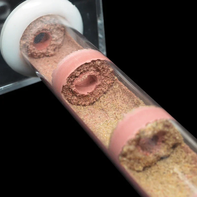 Nido de tubo de bambú para granja de hormigas, varios tamaños, bricolaje, con área de alimentación, taller de antill para mascotas, nido de cría de hormigas Queen, soporte para nido de casa de hormigas - imagen 5