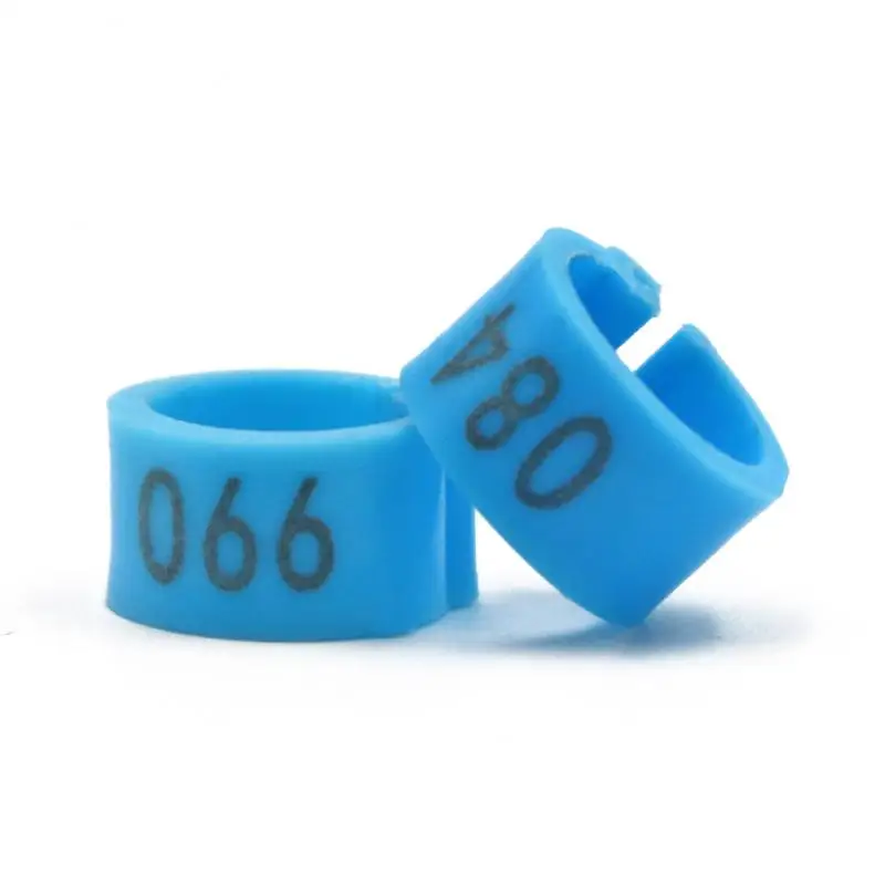 Light Blue with word