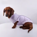 Light Purple