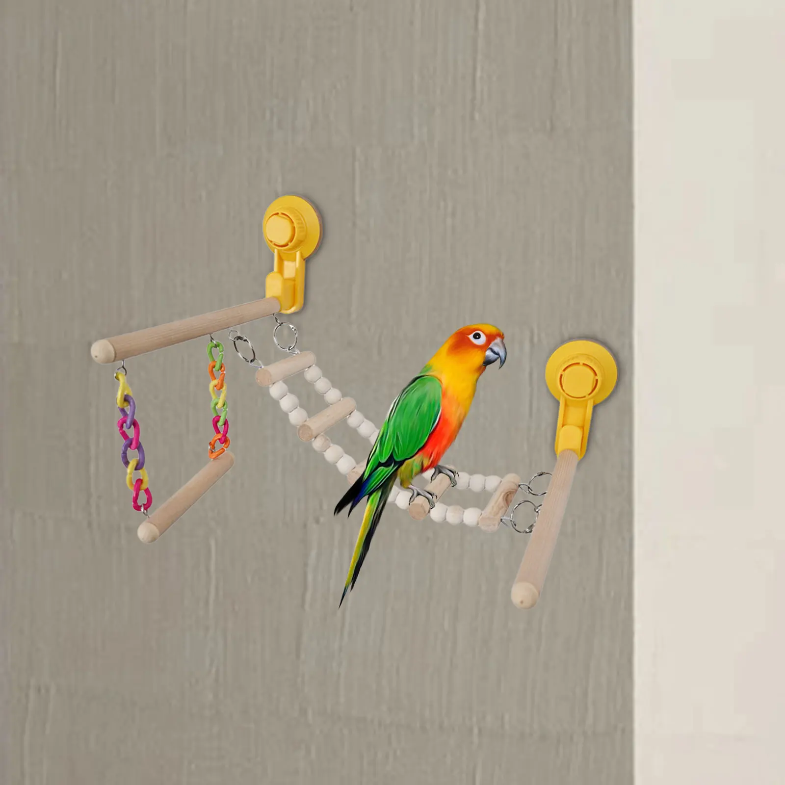 Soporte de madera con ventosa para loros, juguete colgante para pájaros, ventana, perca de ducha, juguete para periquitos, postres, colibrí, suministros para pájaros - imagen 3