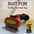 Dog M - Short hair