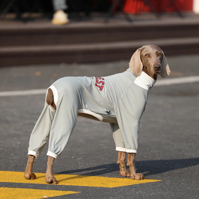 UPF50 + ropa de seda de hielo para perros grandes de verano Golden Retriever Labrador ropa de protección solar disfraz de lujo para medios perros grandes - imagen 3