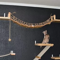 1 Meter wandmontierte Katzenkletterbrücke, Holzrahmen mit Seilnetz, Katzenmöbel für den Innenbereich zum Spielen von Kätzchen und Katzen für Erwachsene