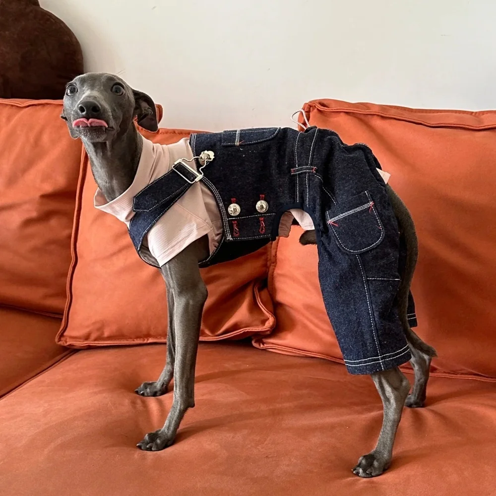 Pantalón con pechera de mezclilla vintage azul de estilo japonés para Bedlington en mono vaquero de algodón con puntos lavados en primavera para perros galgo italiano - imagen 2