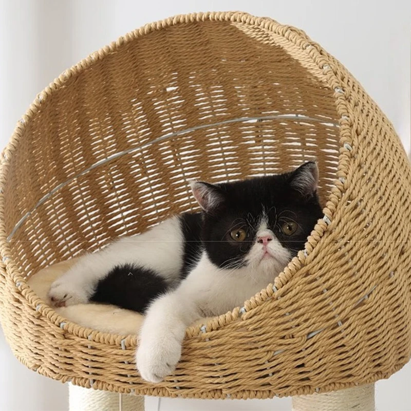 Árbol para gatos de madera maciza, árbol grande para dormir para gatos, cabina transparente, torre para gatitos, accesorios de juguete para mascotas, poste rascador para siesta para gatos - imagen 4
