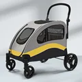 Gray-yellow