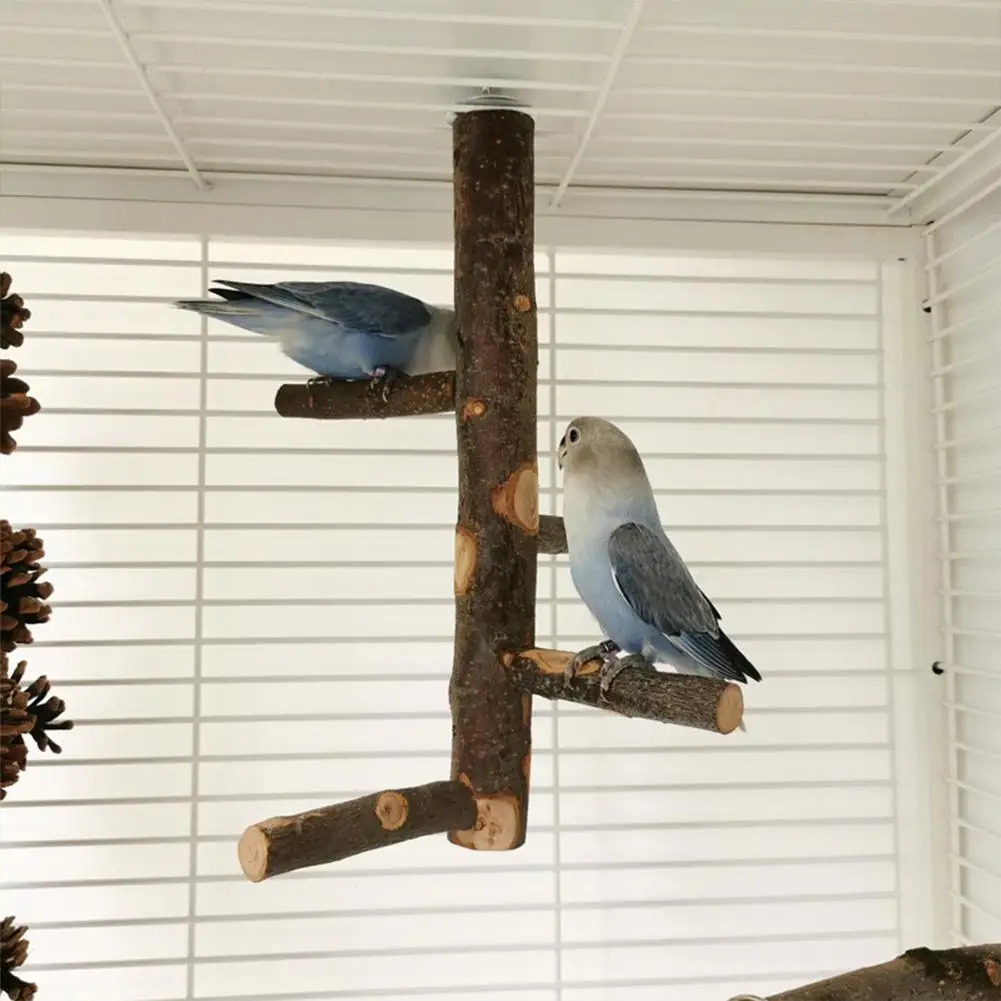 Soporte de madera maciza para loros y mascotas, palo de pie para morder, garra Molar, juguete de molienda, perchas para ramas de hámster, jaula para pájaros, suministros - imagen 4
